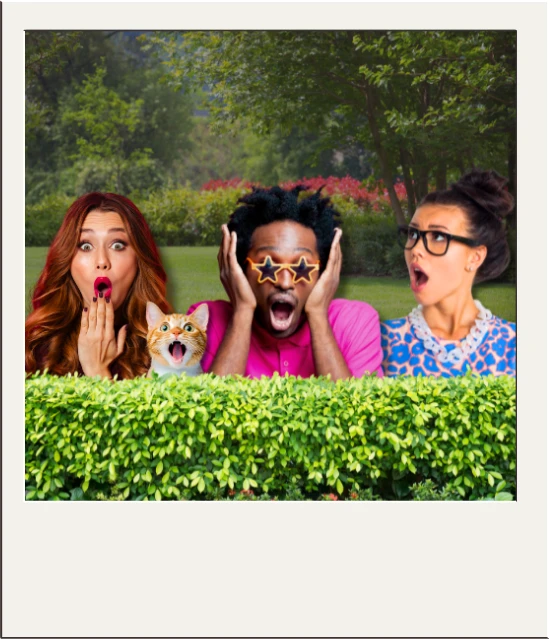 homepage photo